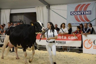 mostrabovina2.jpg (85.88 KiB) Osservato 513 volte mostrabovina2.jpg