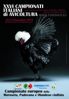 poster-FIAV-2019-750.jpg (80.98 KiB) Osservato 1713 volte poster-FIAV-2019-750.jpg