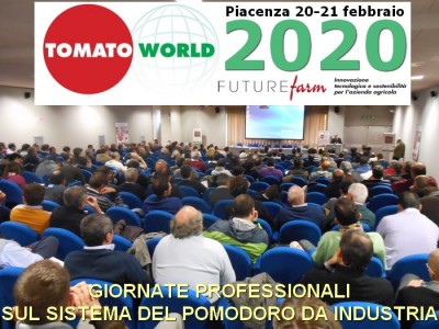 tomato.jpg (126.98 KiB) Osservato 541 volte tomato.jpg
