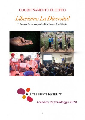 diversita.jpg (105.37 KiB) Osservato 701 volte diversita.jpg