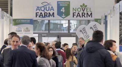aqua.jpg (65.21 KiB) Osservato 431 volte aqua.jpg