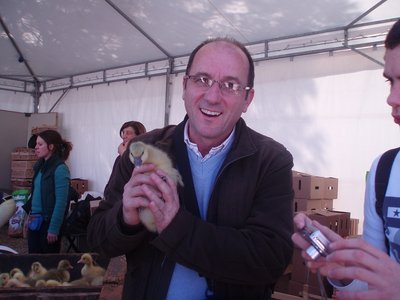 ochretta-salva.JPG (136.68 KiB) Osservato 883 volte ochretta-salva.JPG