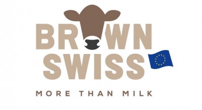 BrownSwiss.jpg