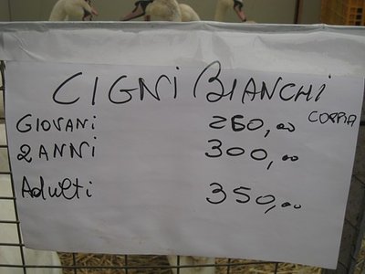 prezzoIMG_8369.jpg (42.48 KiB) Osservato 899 volte prezzoIMG_8369.jpg