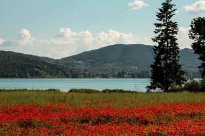 trasimeno.jpeg (126.53 KiB) Osservato 502 volte trasimeno.jpeg