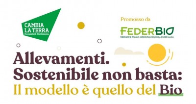 unnamed.jpg (49.99 KiB) Osservato 599 volte unnamed.jpg