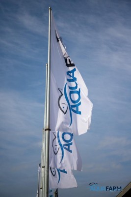 aquafarm.jpg (44.18 KiB) Osservato 1406 volte aquafarm.jpg