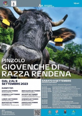 giovenche1.jpg (137.56 KiB) Osservato 794 volte giovenche1.jpg