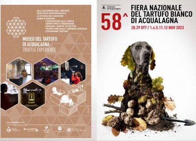 fiera.jpg (212.02 KiB) Osservato 793 volte fiera.jpg