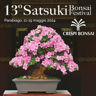 13 Satsuki Bonsai Festival_Crespi Bonsai.jpg (515.55 KiB) Osservato 1151 volte 13 Satsuki Bonsai Festival_Crespi Bonsai.jpg