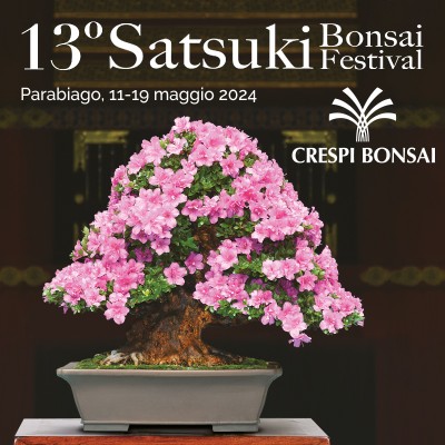 13 Satsuki Bonsai Festival_Crespi Bonsai.jpg