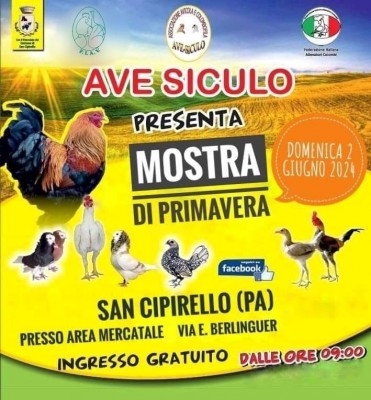 avesiculo.jpg (110.35 KiB) Osservato 764 volte avesiculo.jpg