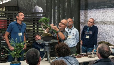 image006.jpg (104.84 KiB) Osservato 933 volte image006.jpg