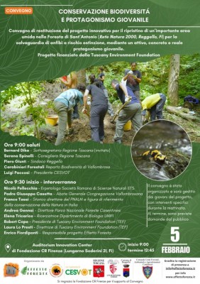 WhatsApp Image 2026-01-27 at 18.11.21.jpeg (156.6 KiB) Osservato 609 volte WhatsApp Image 2026-01-27 at 18.11.21.jpeg