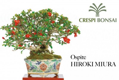 image001 (1).jpg (90.21 KiB) Osservato 134 volte image001 (1).jpg