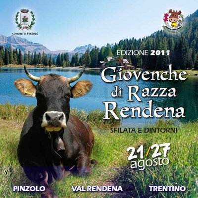 giovenche-2011a.jpg (171.9 KiB) Osservato 1199 volte giovenche-2011a.jpg