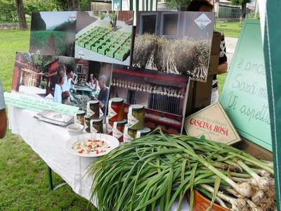 seconda aglio nuovo 012.jpg (260.55 KiB) Osservato 683 volte seconda aglio nuovo 012.jpg