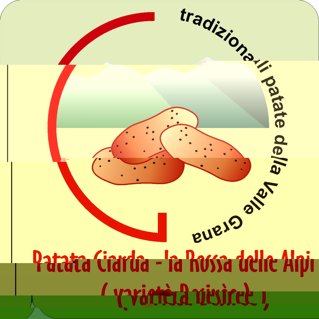 ciarda jpg.JPG ciarda jpg.JPG