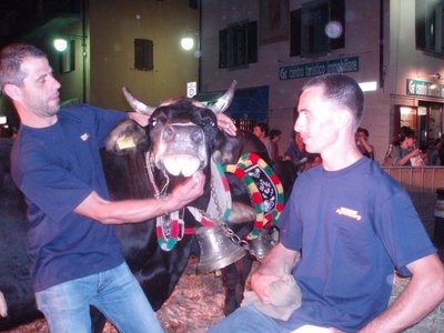 P8234637.JPG (188 KiB) Osservato 835 volte P8234637.JPG