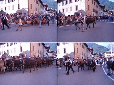 2-sfilata.jpg (150.61 KiB) Osservato 845 volte 2-sfilata.jpg