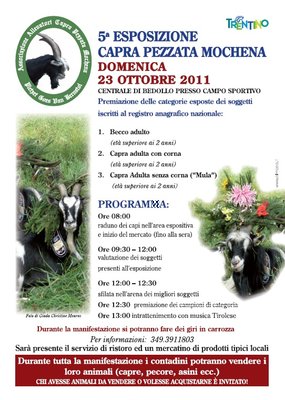 capra-mochena.jpg (178.64 KiB) Osservato 643 volte capra-mochena.jpg