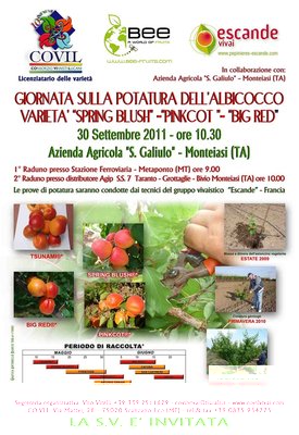 locandina - invito potatura albicocco 30 settembre  2011.jpg (252.88 KiB) Osservato 599 volte locandina - invito potatura albicocco 30 settembre  2011.jpg
