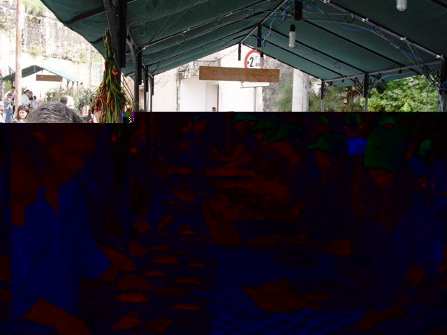 Mammola - Festa del Fungo 0101.jpg Mammola - Festa del Fungo 0101.jpg