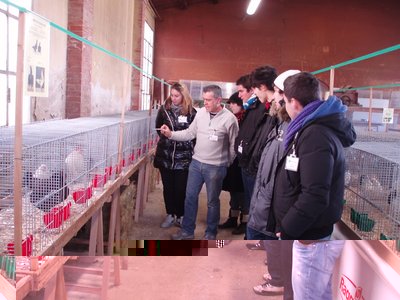 P1284018.JPG (185.87 KiB) Osservato 1338 volte P1284018.JPG