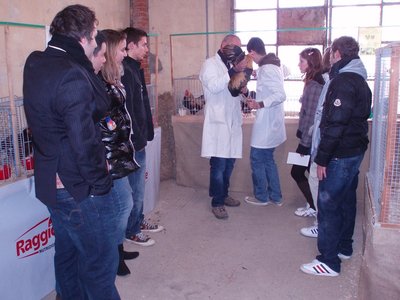 P1284041.JPG (184.94 KiB) Osservato 1338 volte P1284041.JPG