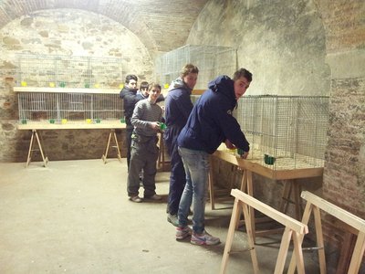 lavori2.jpg (200.03 KiB) Osservato 717 volte lavori2.jpg