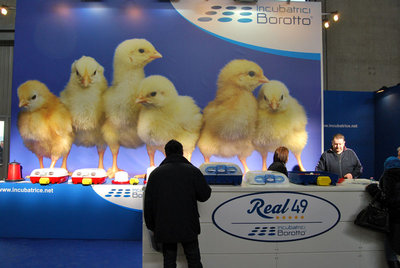 Lo stand Incubatrici Borotto / DSC_0607.jpg DSC_0607.jpg