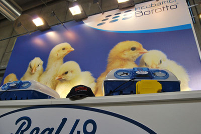 Notate qualcosa di strano? :) / DSC_0612.jpg DSC_0612.jpg