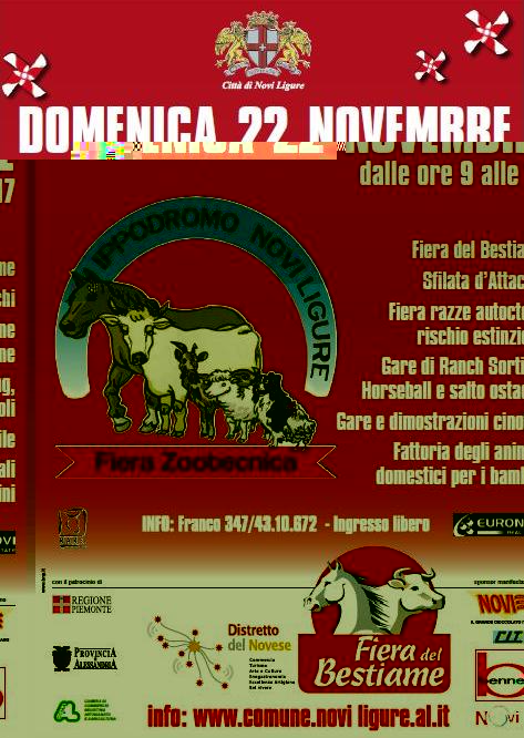 fiera Novi Ligure.JPG fiera Novi Ligure.JPG