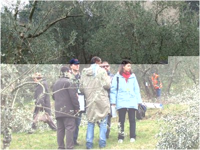 1.JPG (134.38 KiB) Osservato 1244 volte 1.JPG