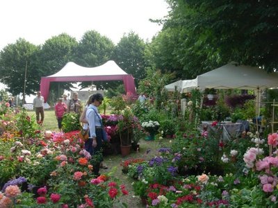 coniolo2.jpg (125.13 KiB) Osservato 544 volte coniolo2.jpg