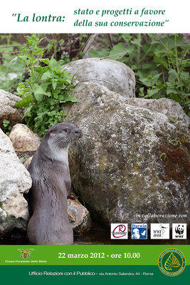 locandina_giornata_lontra_finale_per_web.JPG (979.56 KiB) Osservato 573 volte locandina_giornata_lontra_finale_per_web.JPG