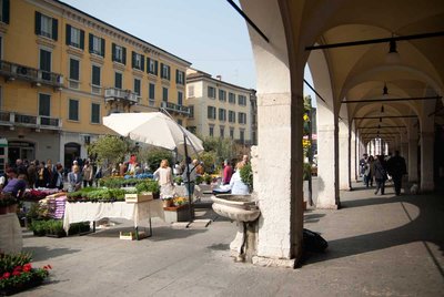 20110403-brixiaflorum_39.jpg (106.64 KiB) Osservato 662 volte 20110403-brixiaflorum_39.jpg