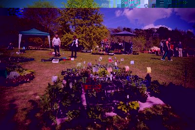 Orti e Horti -2.jpg (250.76 KiB) Osservato 1120 volte Orti e Horti -2.jpg