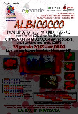 25 gennaio 2013 locandina - invito.jpg (483.55 KiB) Osservato 682 volte 25 gennaio 2013 locandina - invito.jpg