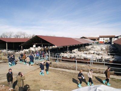 foto meeting.JPG (192.98 KiB) Osservato 617 volte foto meeting.JPG