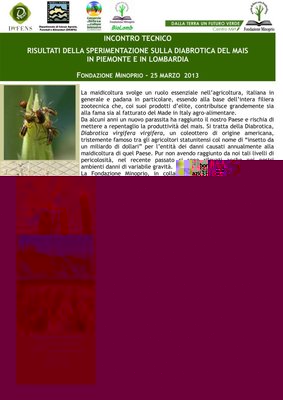 525322_340309386070175_1886826798_n.jpg (182.89 KiB) Osservato 525 volte 525322_340309386070175_1886826798_n.jpg