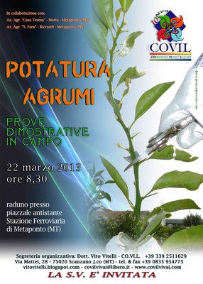 locandina invito.jpg (415.69 KiB) Osservato 586 volte locandina invito.jpg