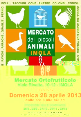 poster.jpg (56.78 KiB) Osservato 542 volte poster.jpg