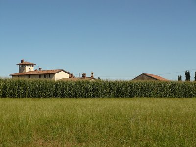 Campagna lombarda Foto -® Stefano Gomarasca.jpg (181.07 KiB) Osservato 652 volte Campagna lombarda Foto -® Stefano Gomarasca.jpg