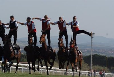 dscf2055.jpg (24.13 KiB) Osservato 837 volte dscf2055.jpg