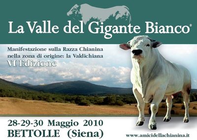 depliant1.JPG (58.39 KiB) Osservato 758 volte depliant1.JPG