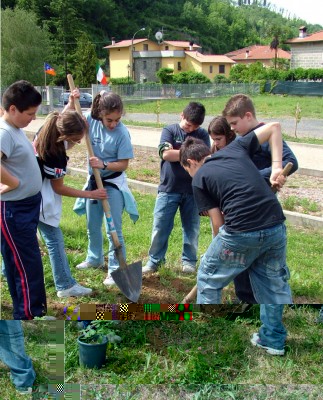 DSCF0629.jpg (297.94 KiB) Osservato 611 volte DSCF0629.jpg