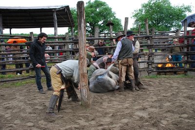 DSC_5833.JPG (296.6 KiB) Osservato 655 volte DSC_5833.JPG