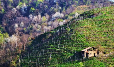 pro.jpg (249.91 KiB) Osservato 652 volte pro.jpg