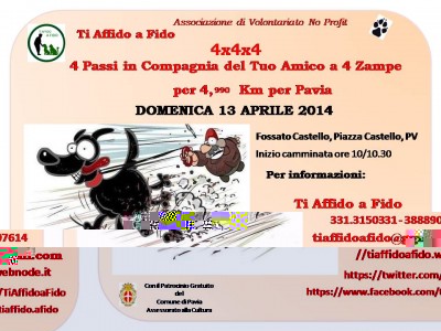 4x4x4 locandina.jpg (110.98 KiB) Osservato 629 volte 4x4x4 locandina.jpg